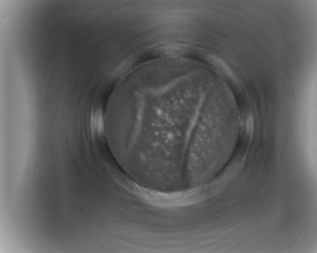 X0000113960046200910021534