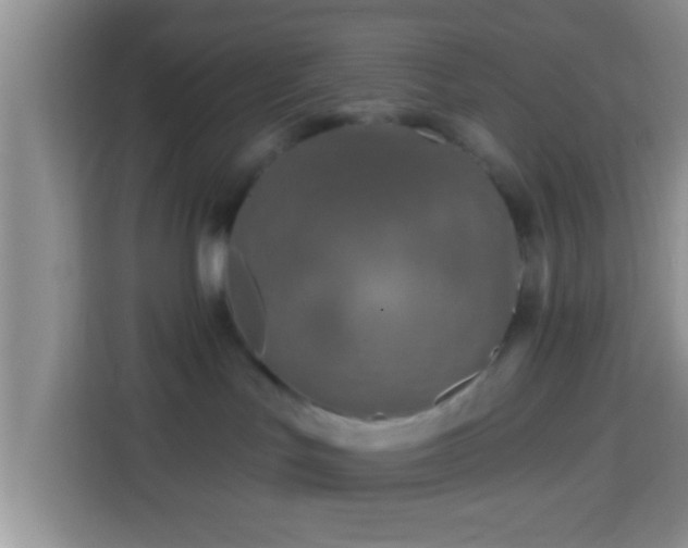 X0000113960047200910021534