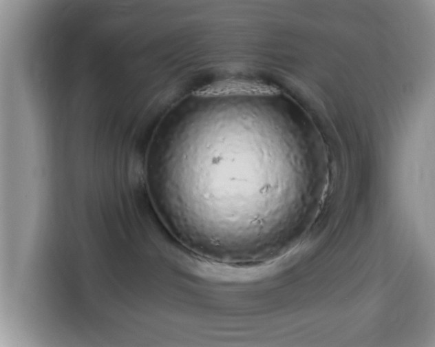 X0000113960048200910021534