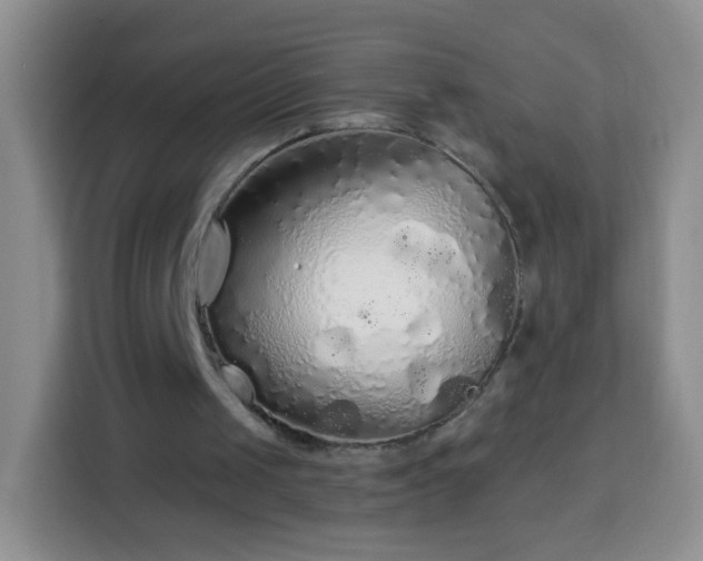 X0000113960049200910021534