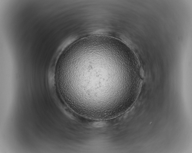 X0000113960050200910021534