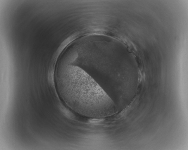 X0000113960051200910021534