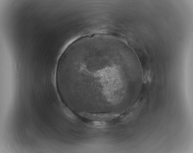 X0000113960052200910021534