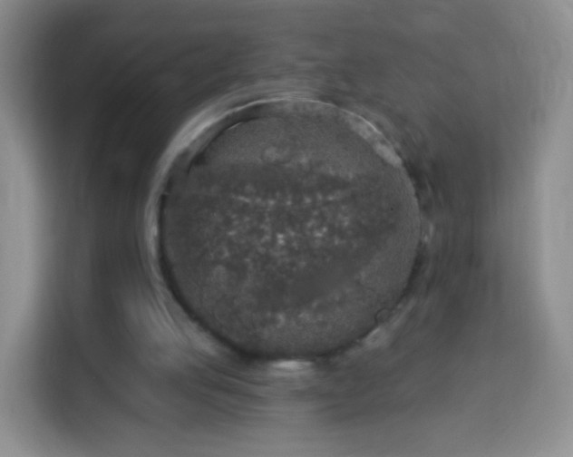 X0000113960053200910021534