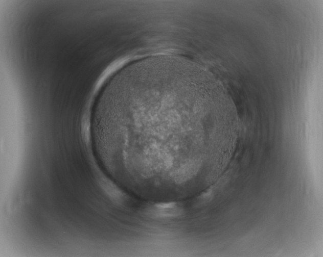 X0000113960054200910021534