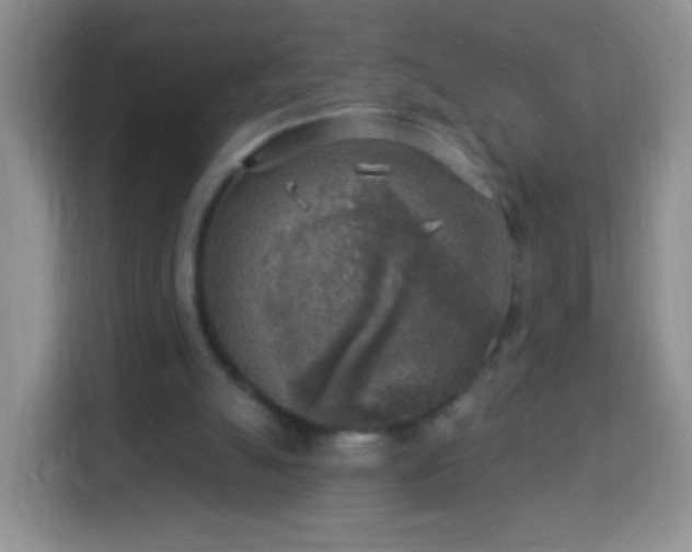 X0000113960055200910021534