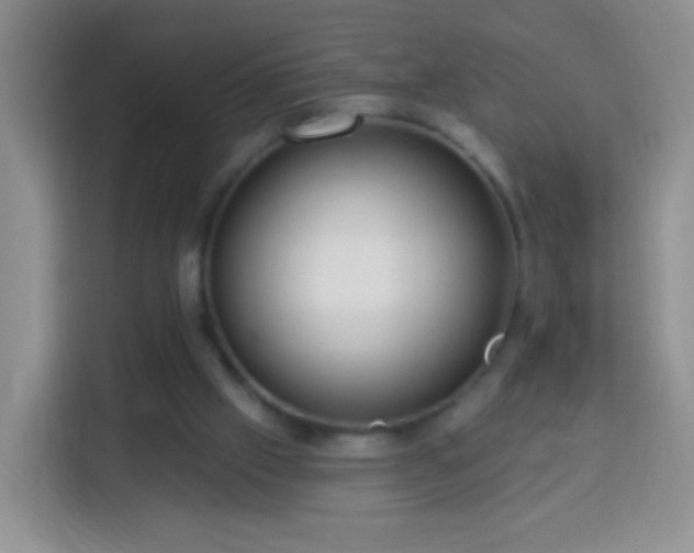 X0000113960057200910021534