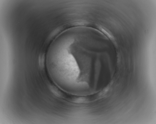 X0000113960058200910021534