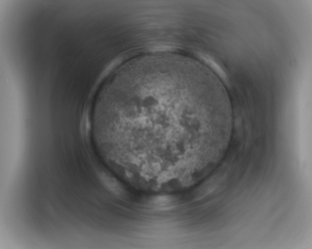 X0000113960059200910021534