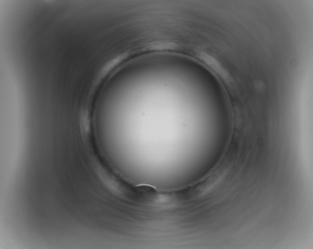 X0000113960060200910021534