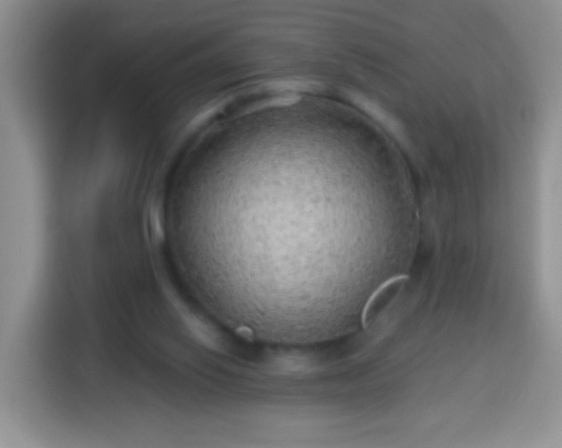 X0000113960062200910021534