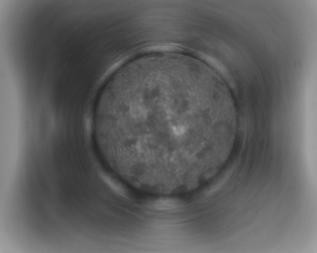 X0000113960063200910021534