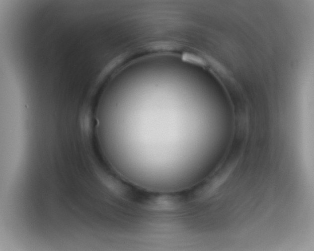 X0000113960064200910021534