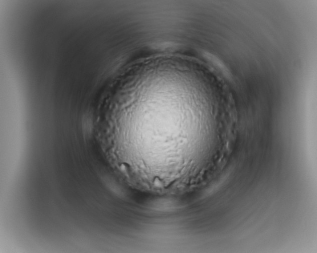 X0000113960065200910021534