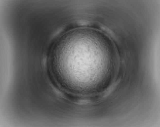 X0000113960066200910021534