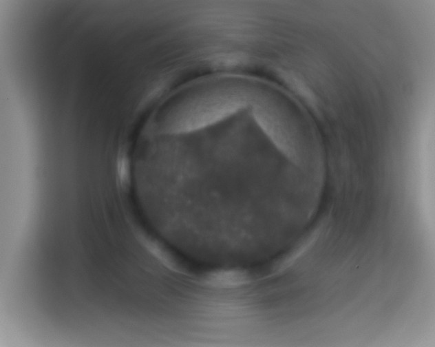 X0000113960067200910021534