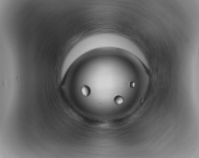 X0000113960068200910021534