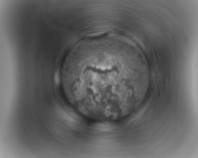 X0000113960069200910021534