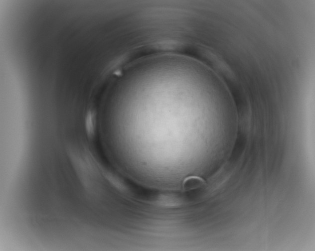 X0000113960070200910021534