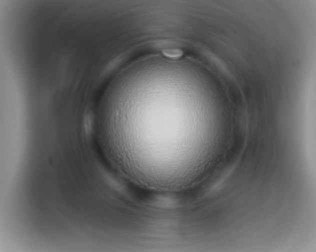 X0000113960071200910021534