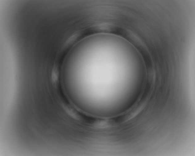 X0000113960072200910021534