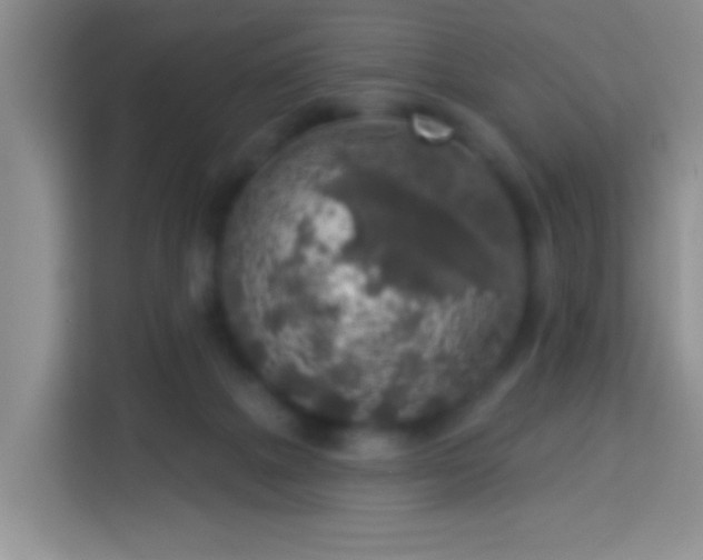 X0000113960073200910021534