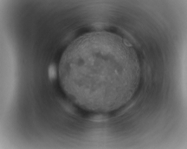 X0000113960075200910021534