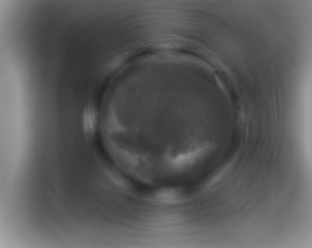 X0000113960076200910021534