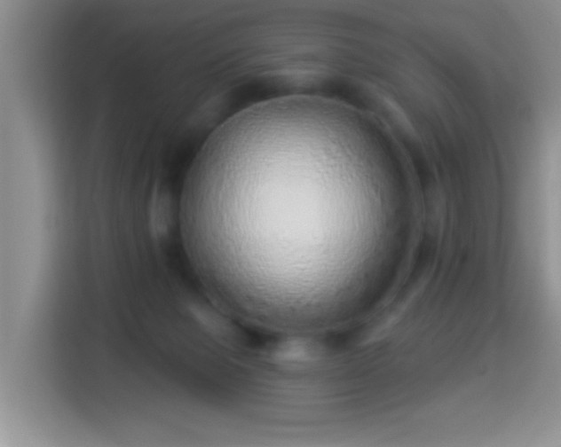 X0000113960077200910021534