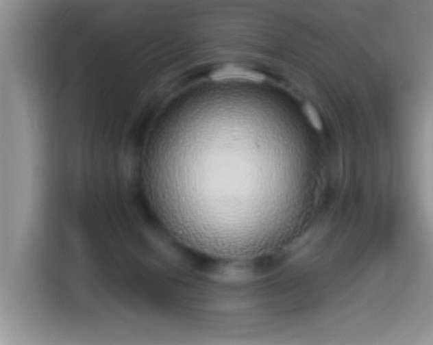 X0000113960078200910021534