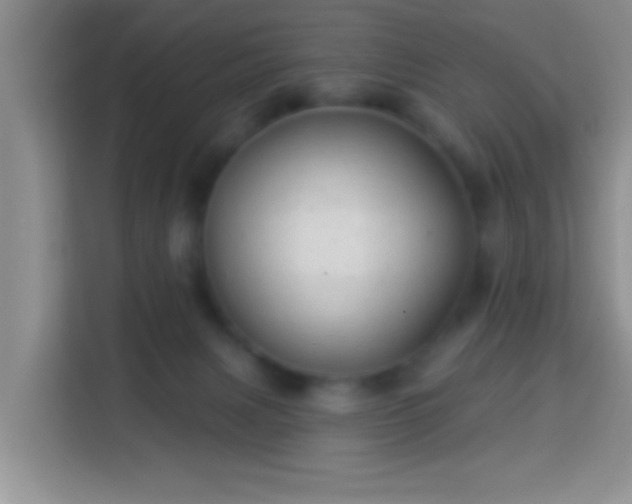 X0000113960079200910021534