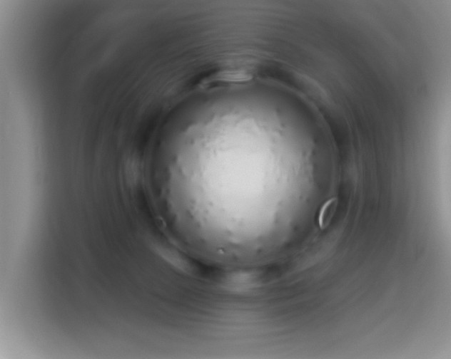 X0000113960081200910021534