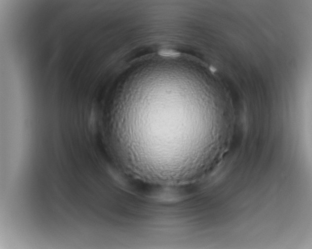 X0000113960082200910021534