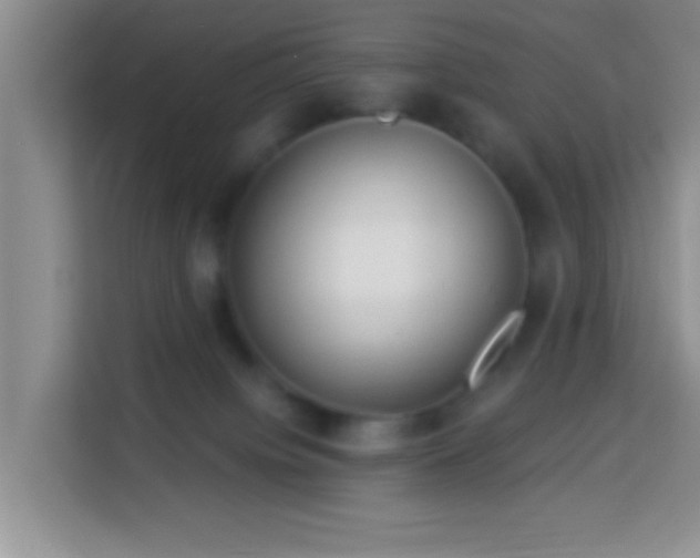 X0000113960084200910021534