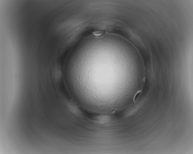 X0000113960085200910021534