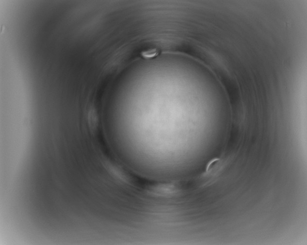 X0000113960086200910021534