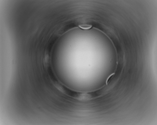 X0000113960087200910021534