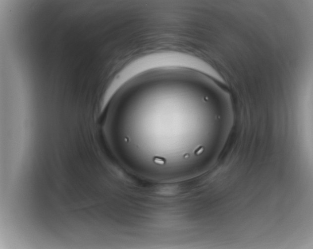 X0000113960088200910021534