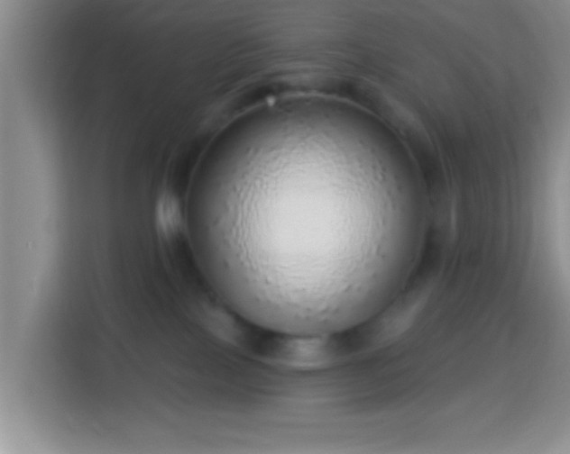 X0000113960089200910021534