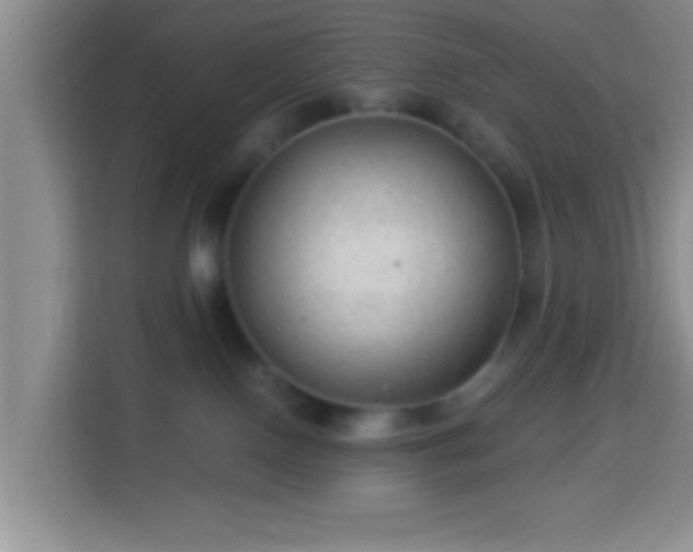 X0000113960090200910021534