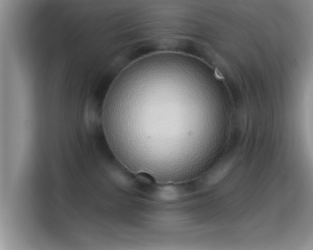 X0000113960091200910021534