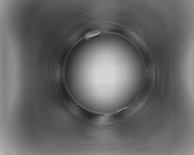 X0000113960092200910021534