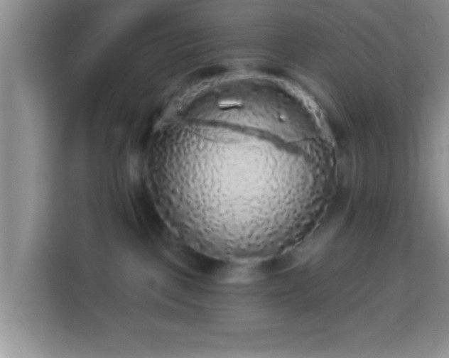 X0000113960093200910021534