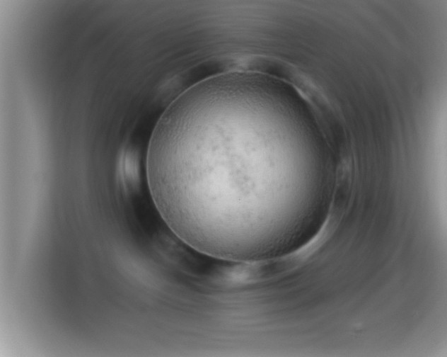 X0000113960094200910021534