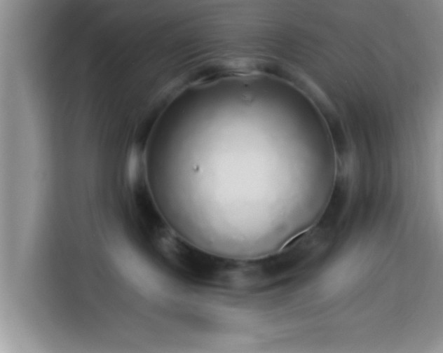 X0000113960095200910021534