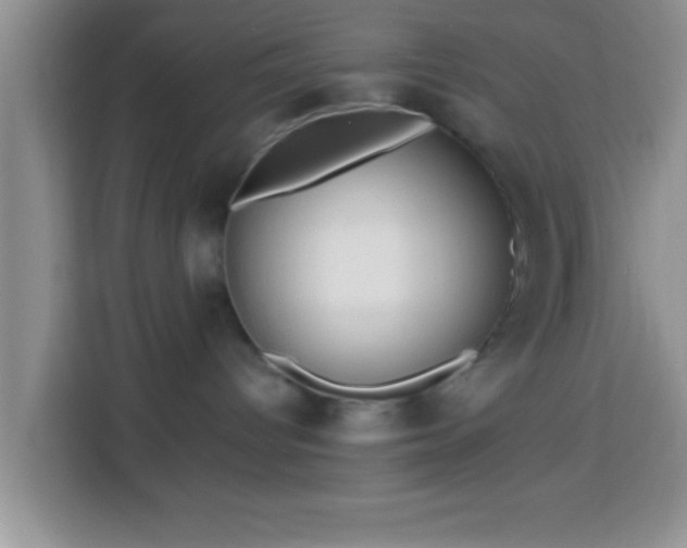 X0000113960096200910021534