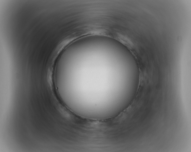 X0000113960098200910021534