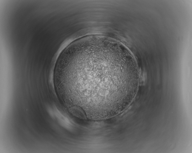 X0000113960099200910021534