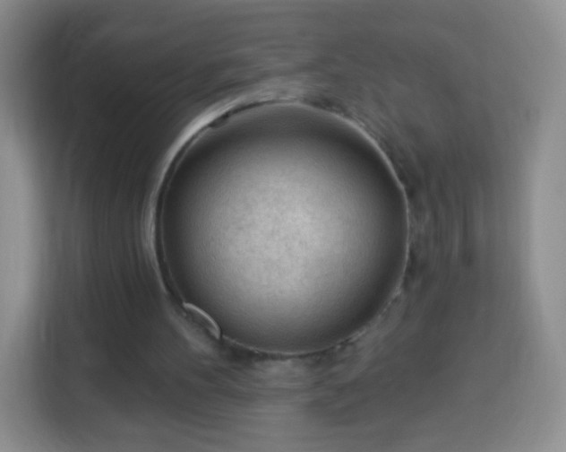 X0000113960100200910021534