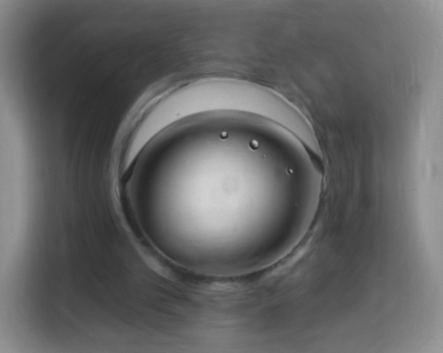 X0000113960101200910021534